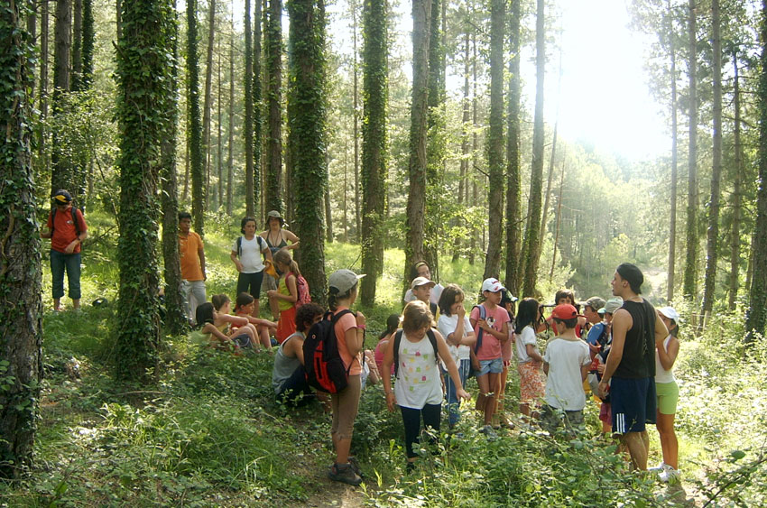 El bosque. Granja Escuela haritz Berri