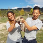 Conejos, ovejas y cerdos. Granja Escuela haritz Berri